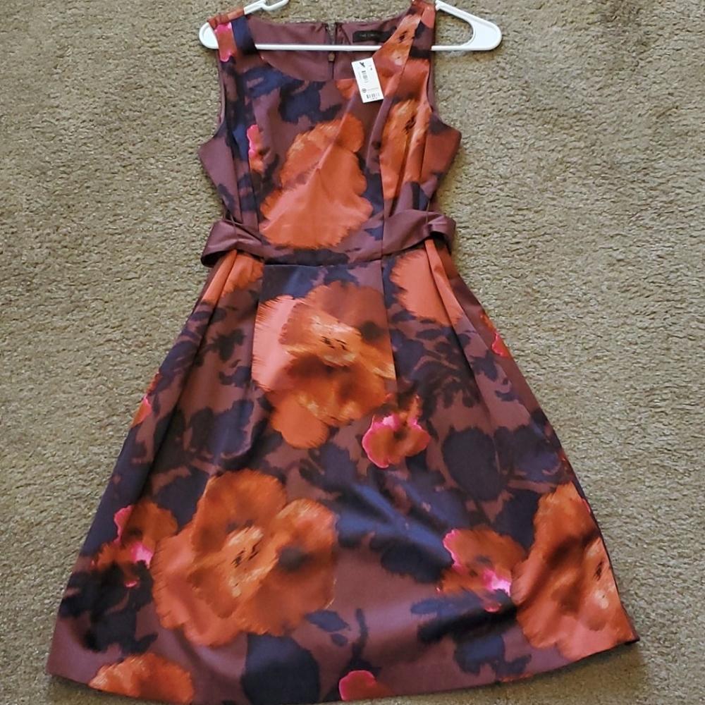 The Limited Dress